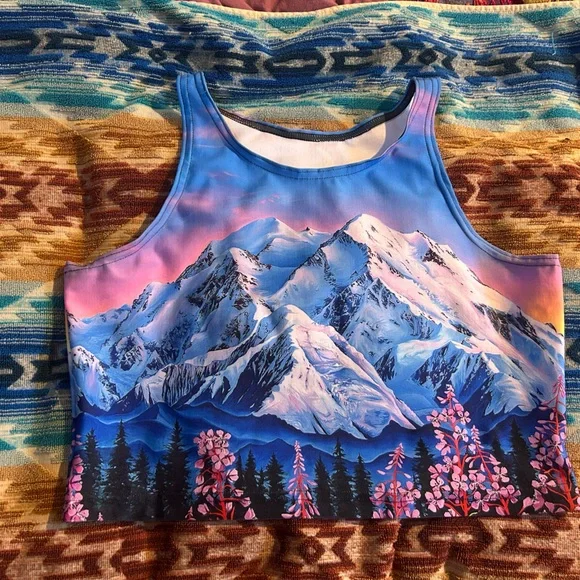 Rachel Pohl Blue and Pink Mountain Crop Top - Picture 2 of 3
